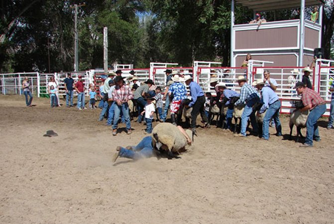 Gallery photo