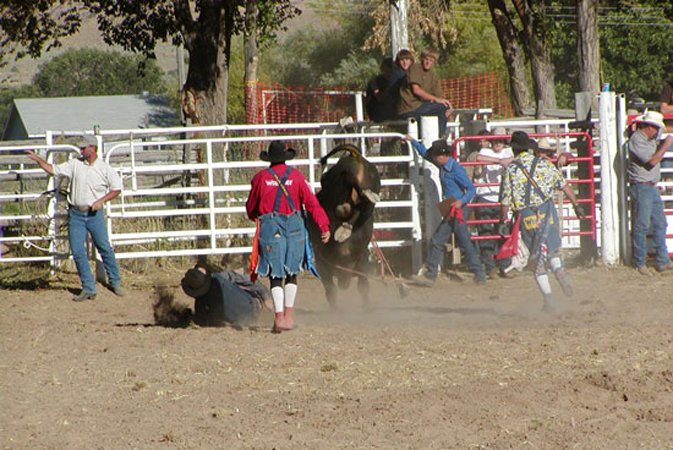 Gallery photo