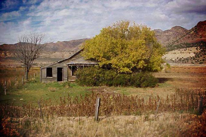 Gallery photo