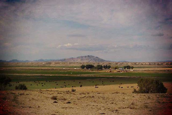 Gallery photo